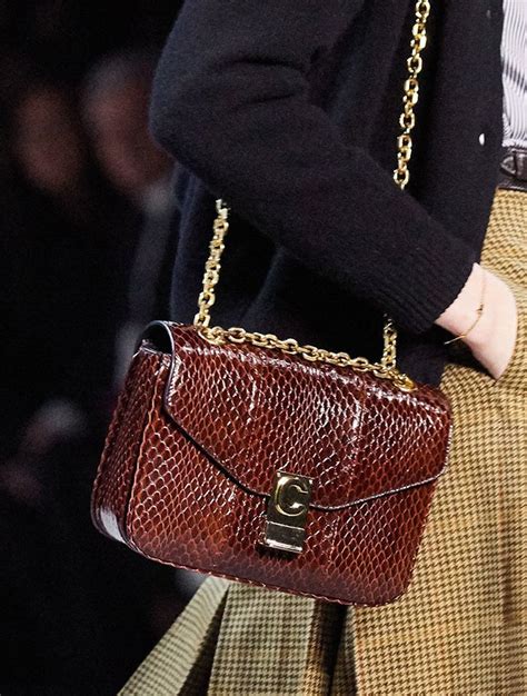 celine bag 2019 fall|Celine fashion.